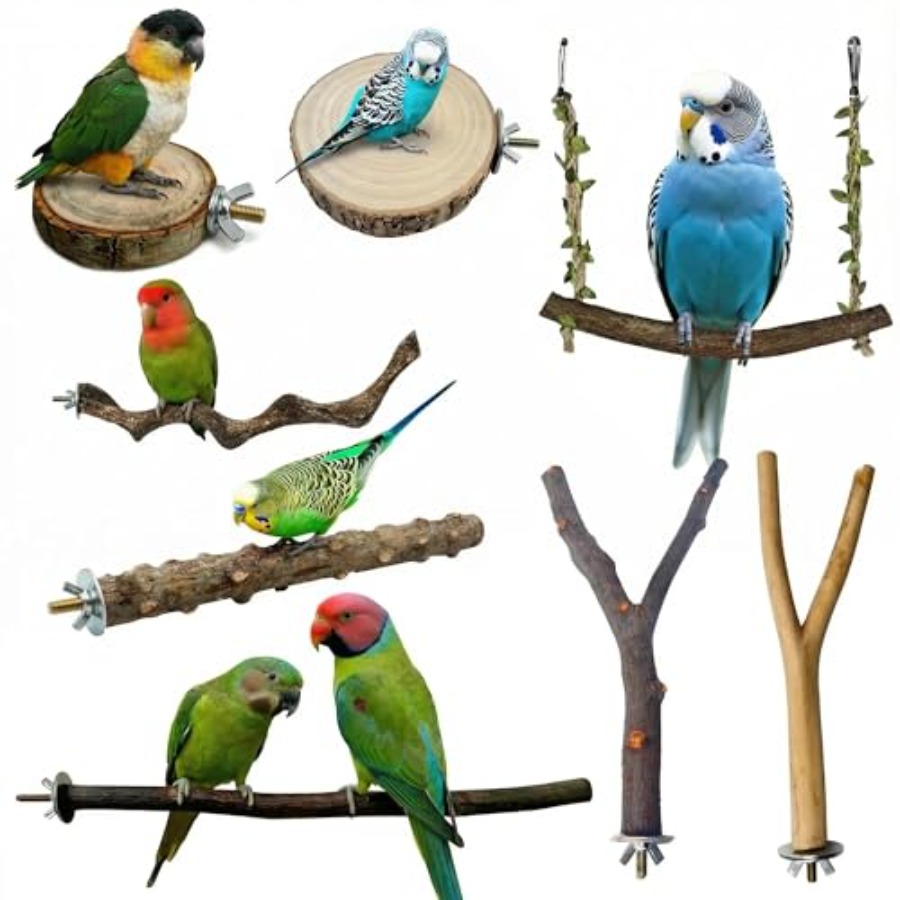 Health & Wellness Fairs - 8 stuks natuurlijke houten vogelzitstokken voor